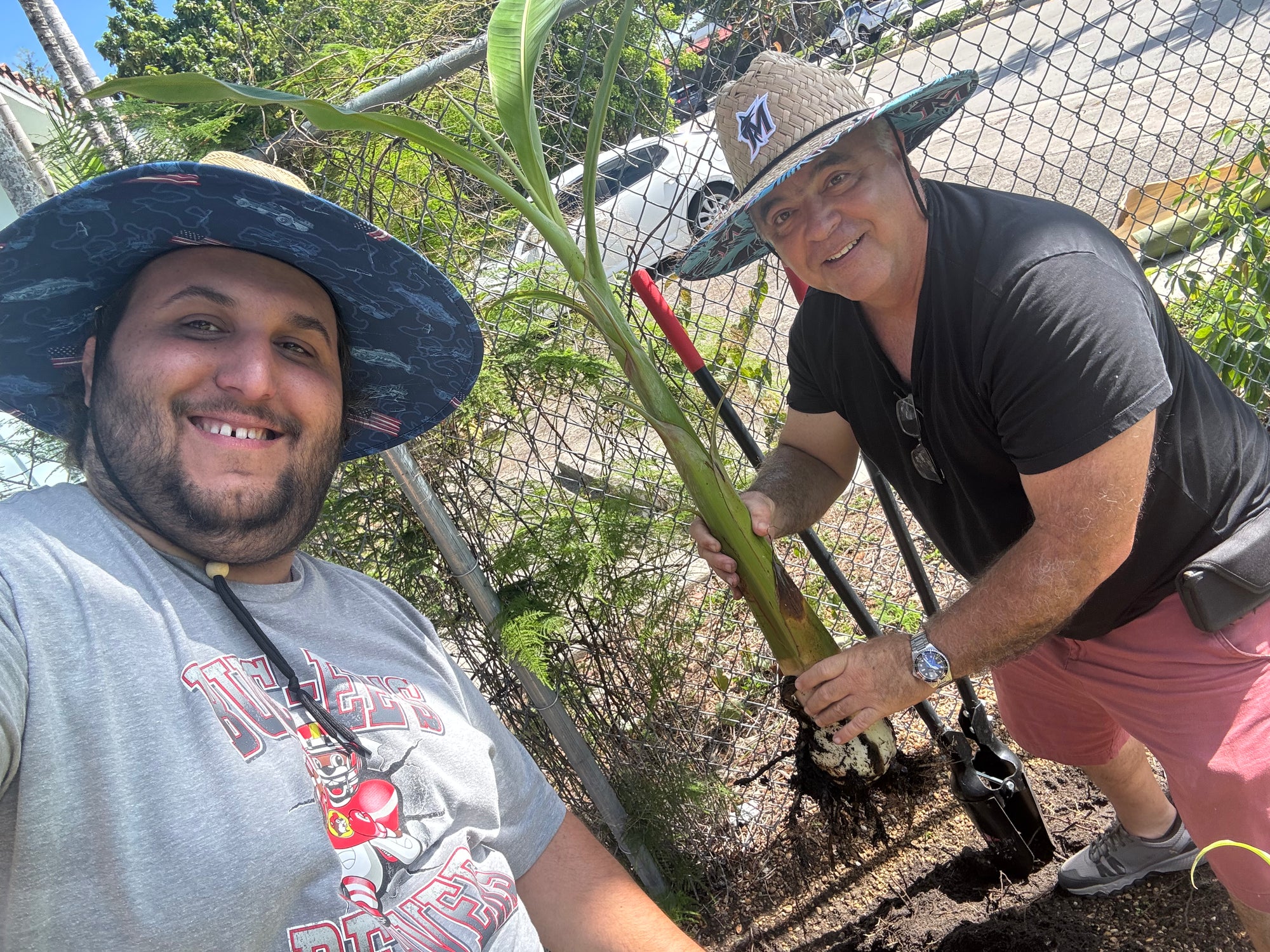 Tree Health Consultation