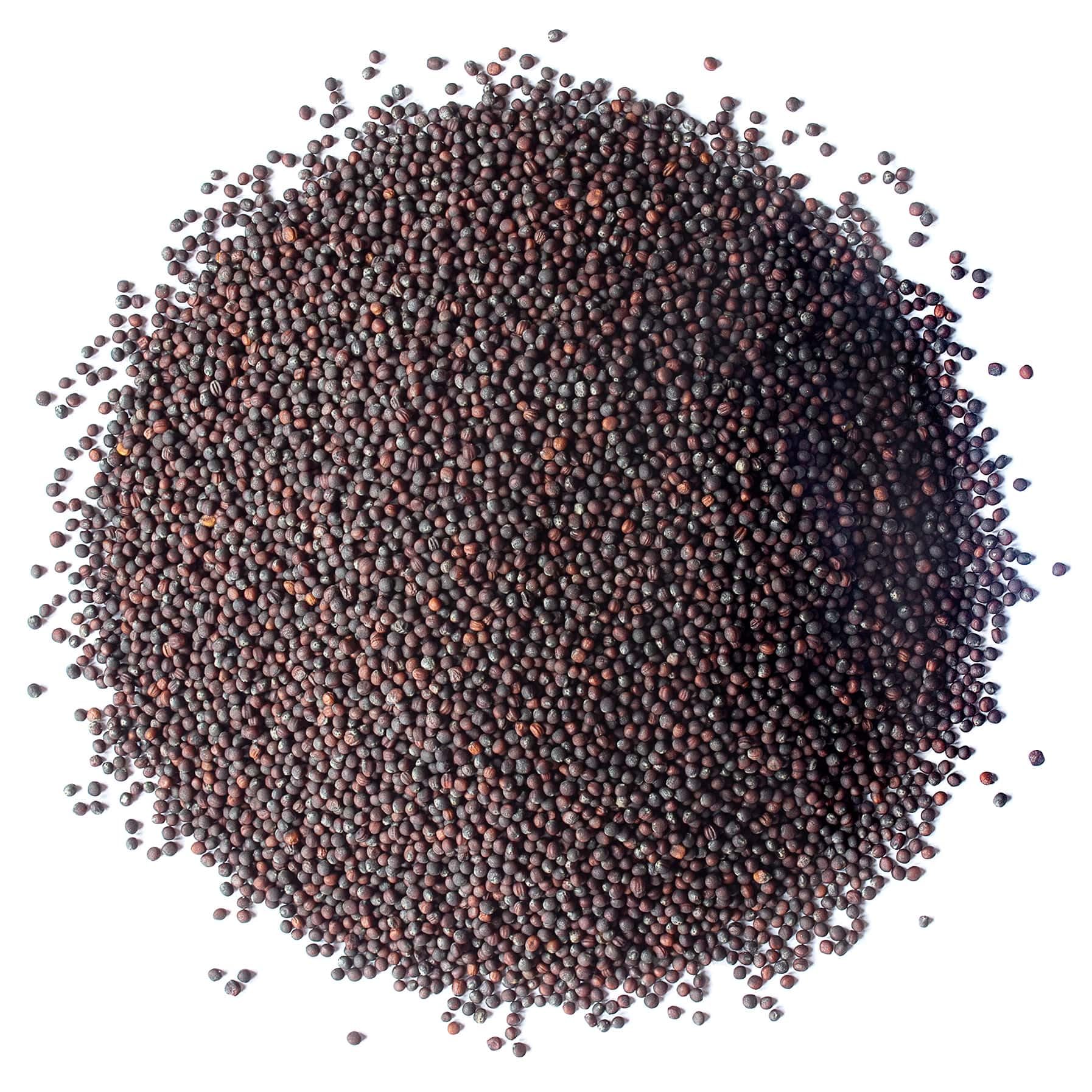 Broccoli Seeds