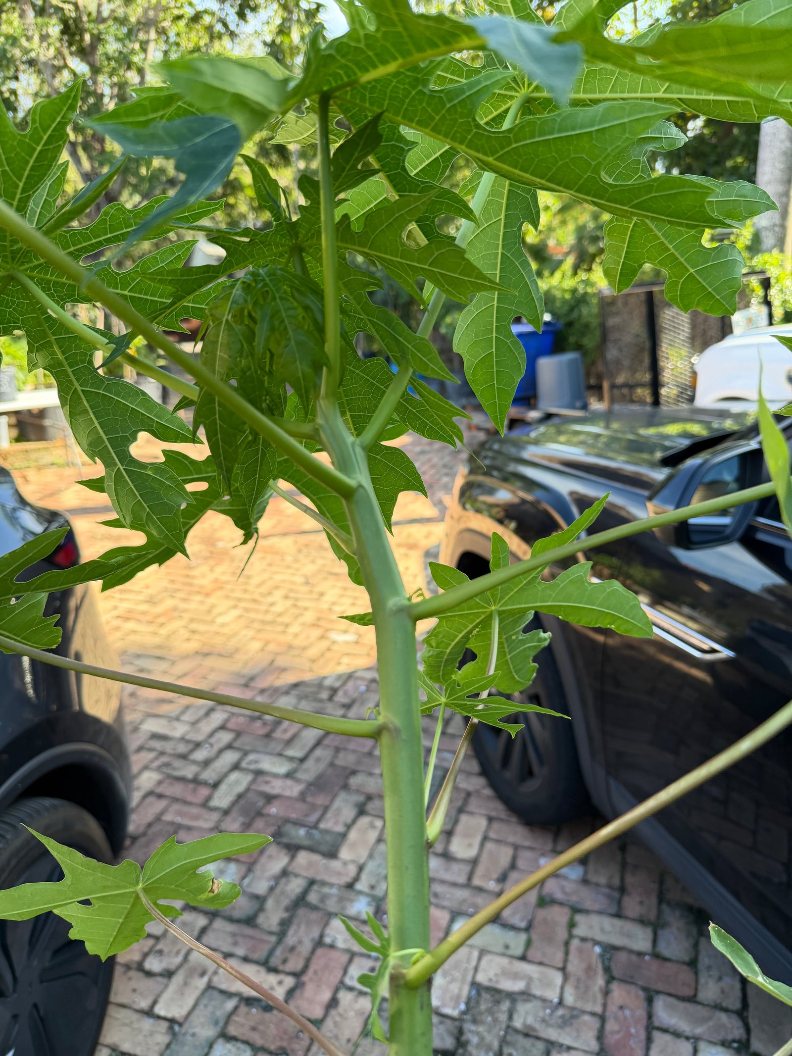 Zone 10: Warm Climate