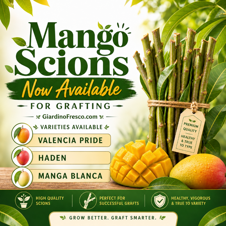 Scions and Seeds