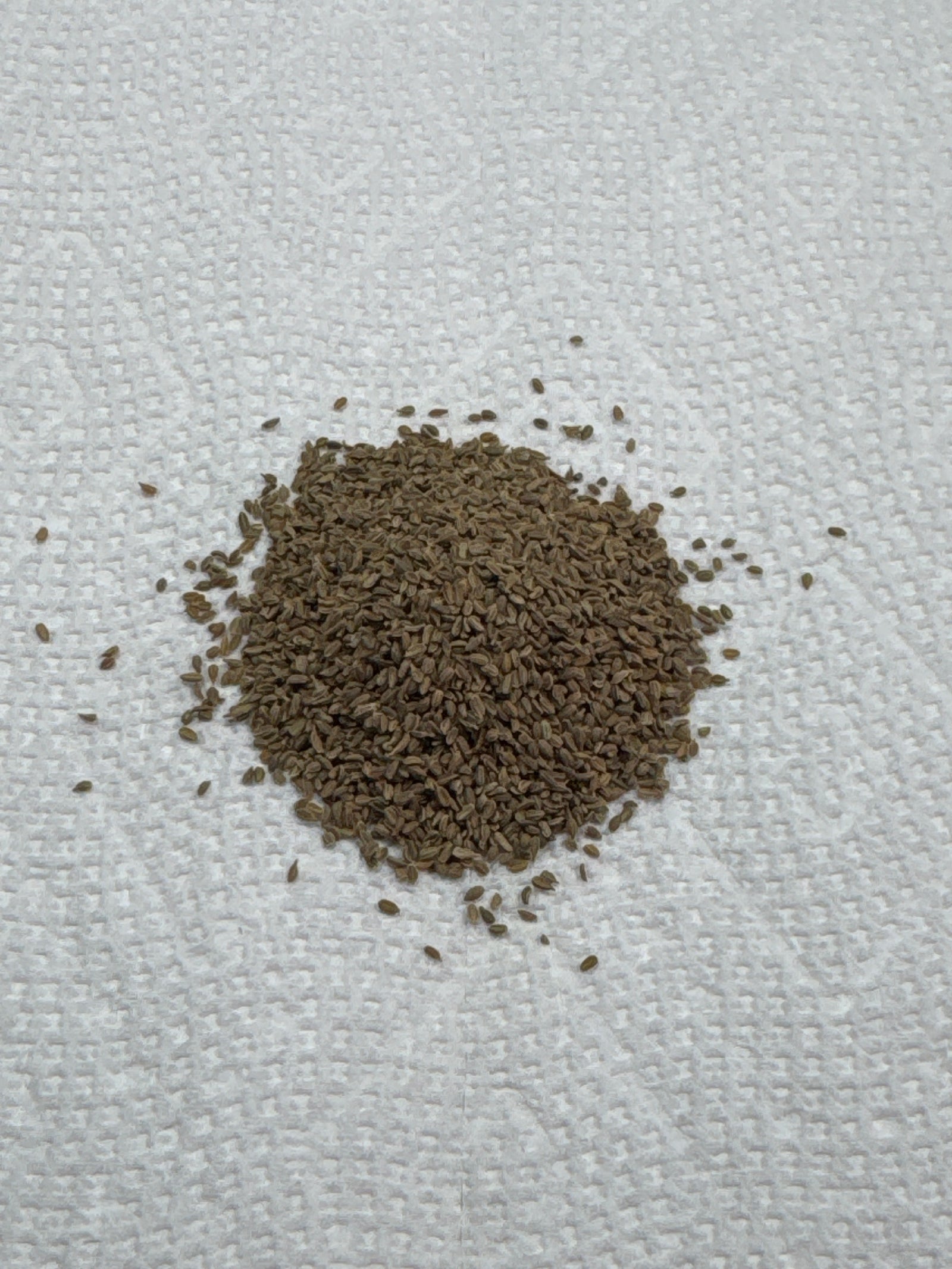Red Core Carrot Seeds