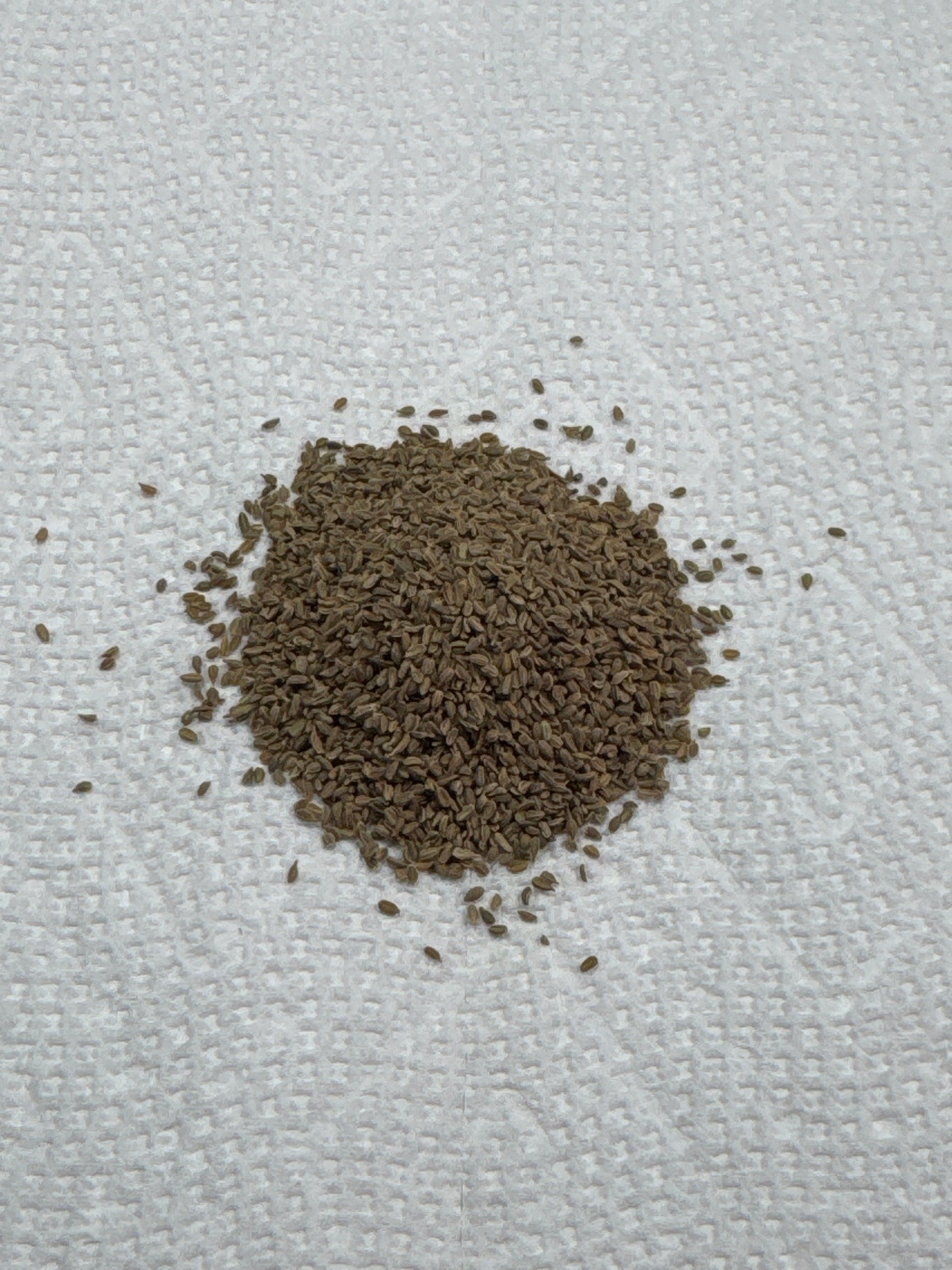 Red Core Carrot Seeds