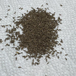 Buttercrunch Butterhead Seeds