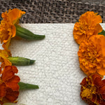 Marigold Flowers Edible