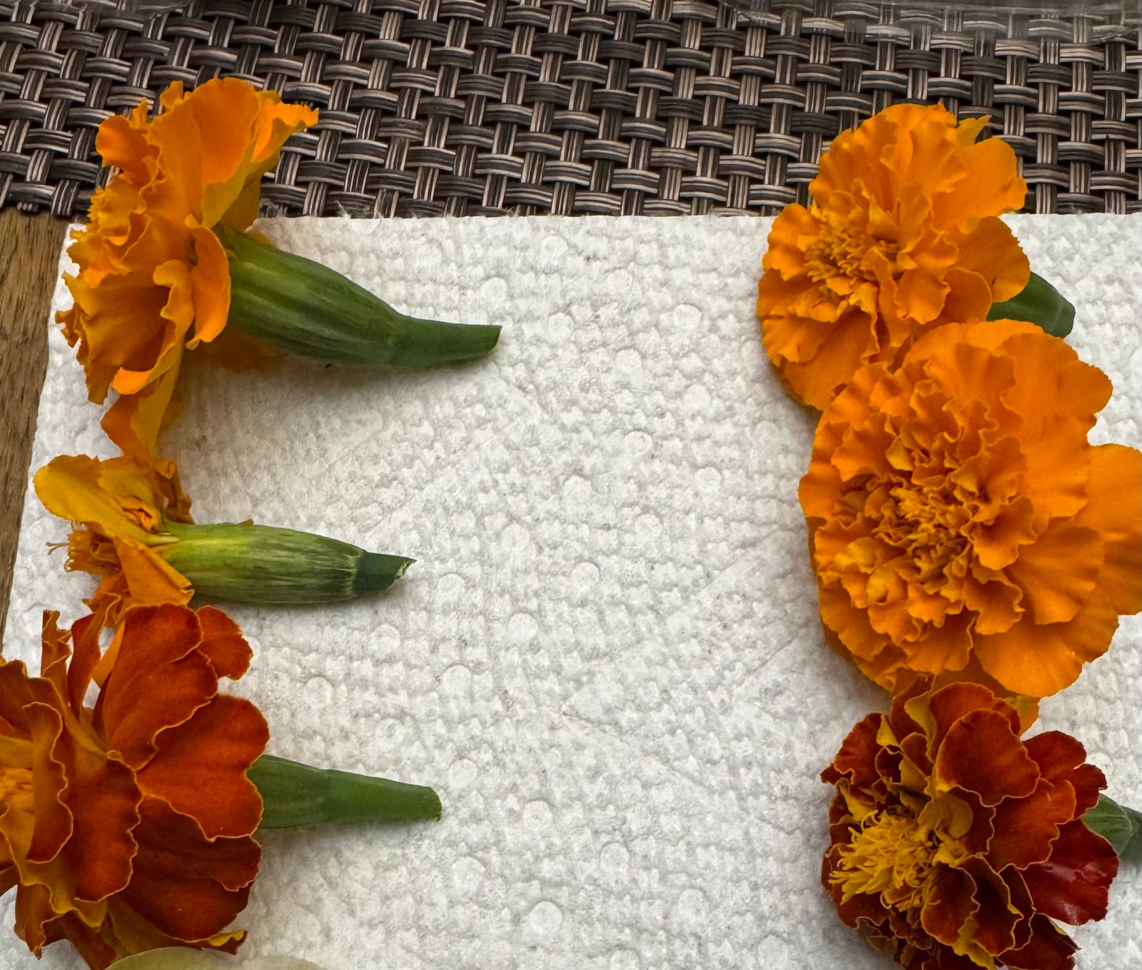 Marigold Flowers Edible