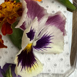 Pansies Edible Flowers