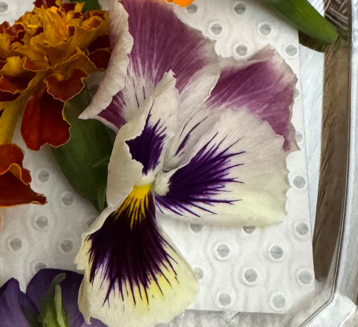 Pansies Edible Flowers