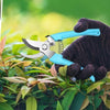 Pruning Shears (Intermediate)