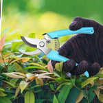 Pruning Shears (Intermediate)