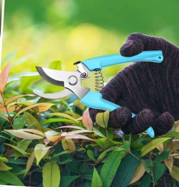 Pruning Shears (Intermediate)