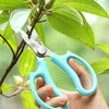 Scissor Pruning Shears