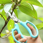 Scissor Pruning Shears