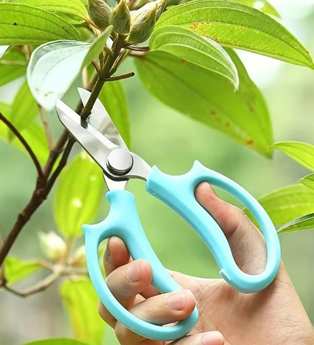 Scissor Pruning Shears