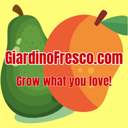 Navigate back to Giardino Fresco homepage