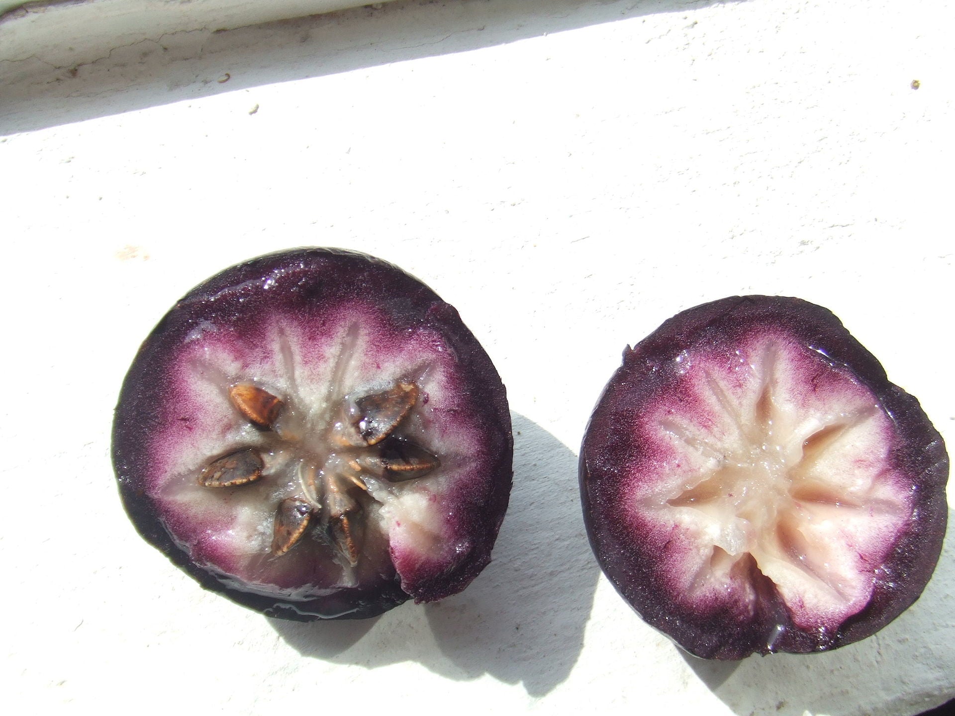 Exotic Fruit Bundle
