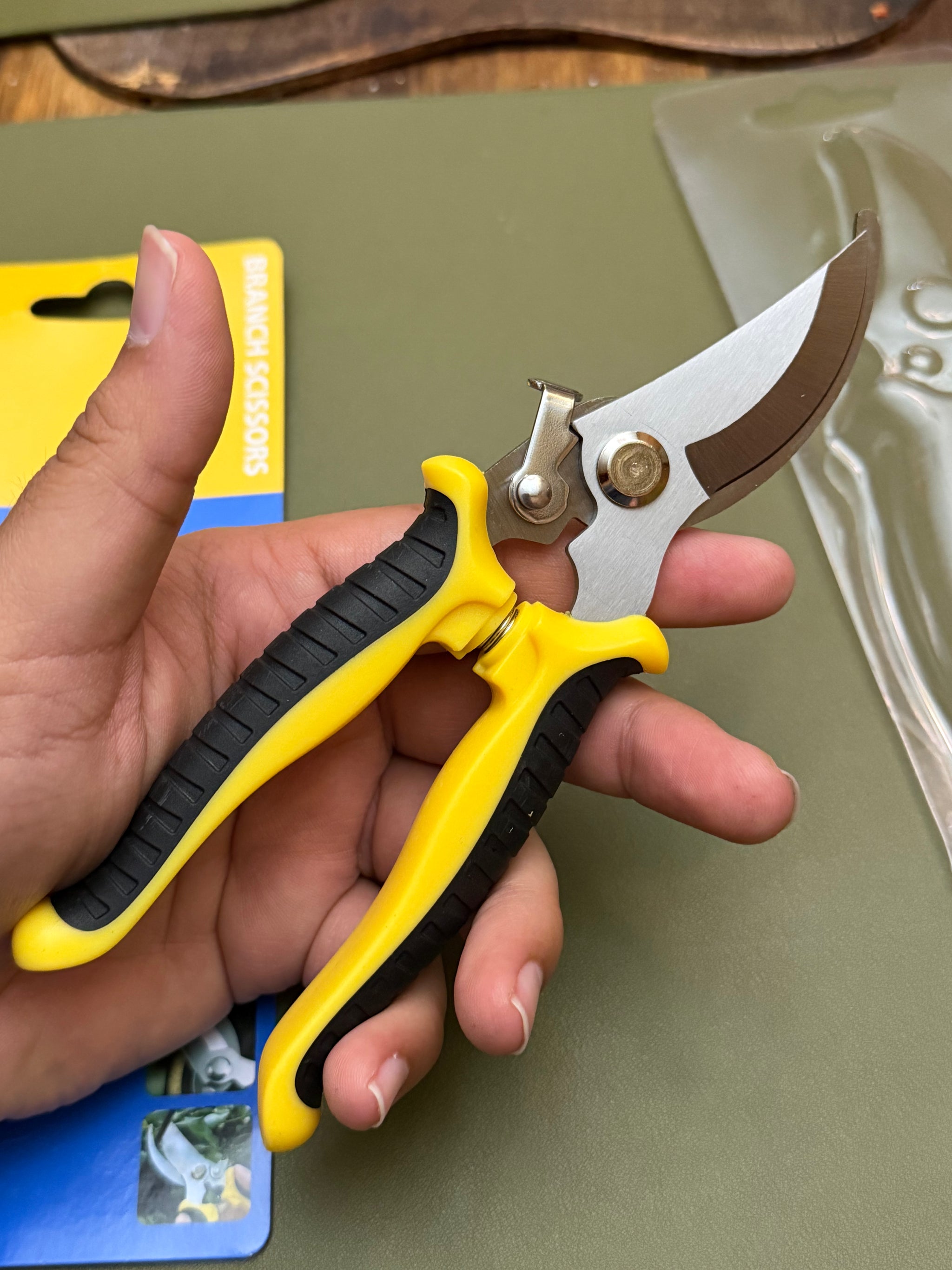 Pruning Shears (Basic)