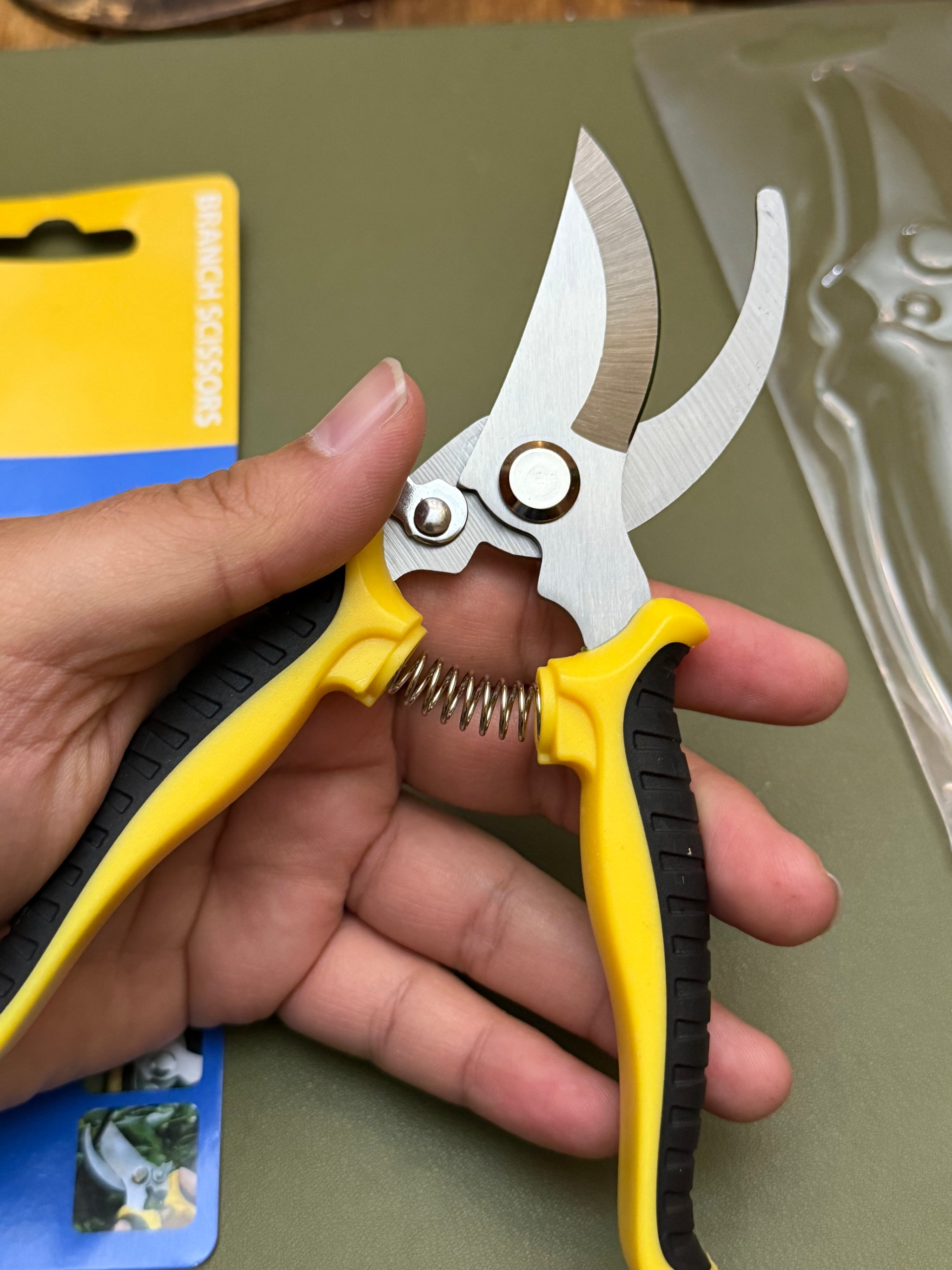 Pruning Shears (Basic)