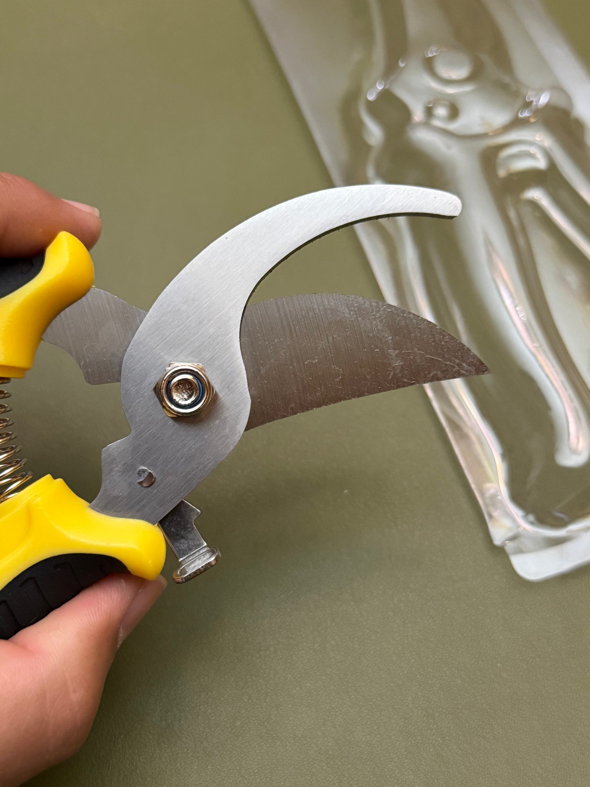 Pruning Shears (Basic)