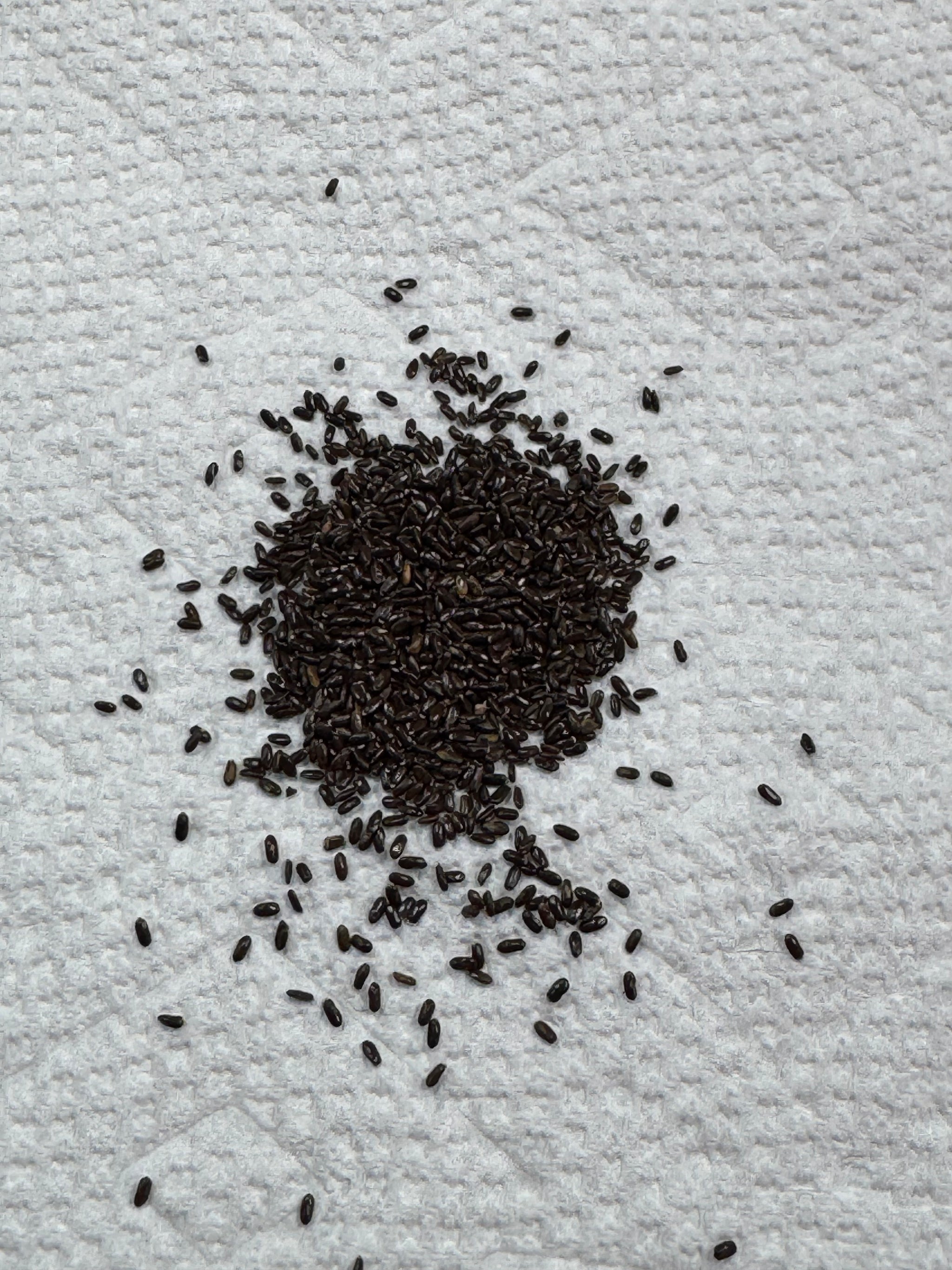 Seed Kit #1