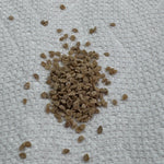 Oregon Spring Tomato Seeds