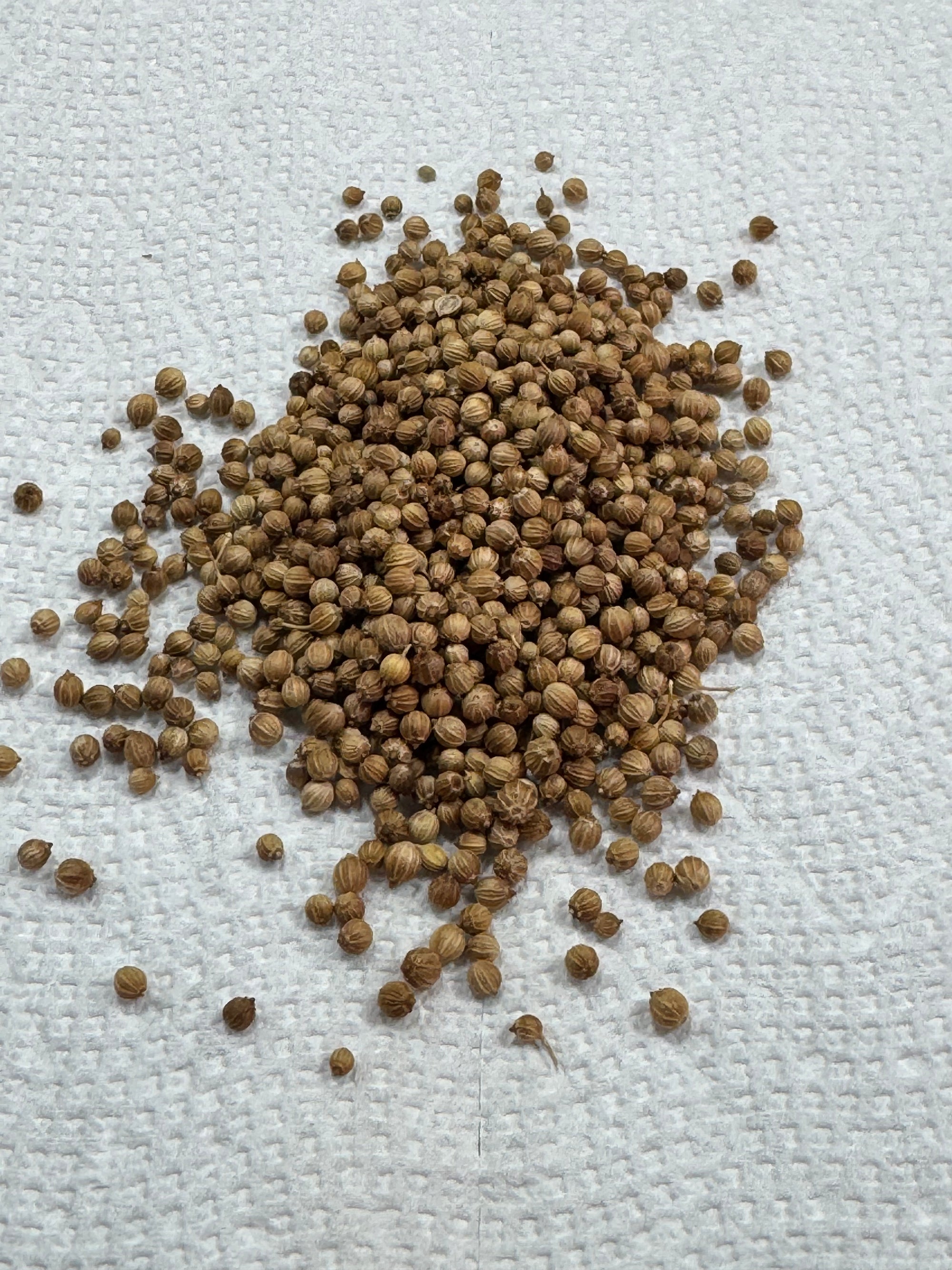 Seed Kit #1