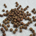 Seed Kit #1