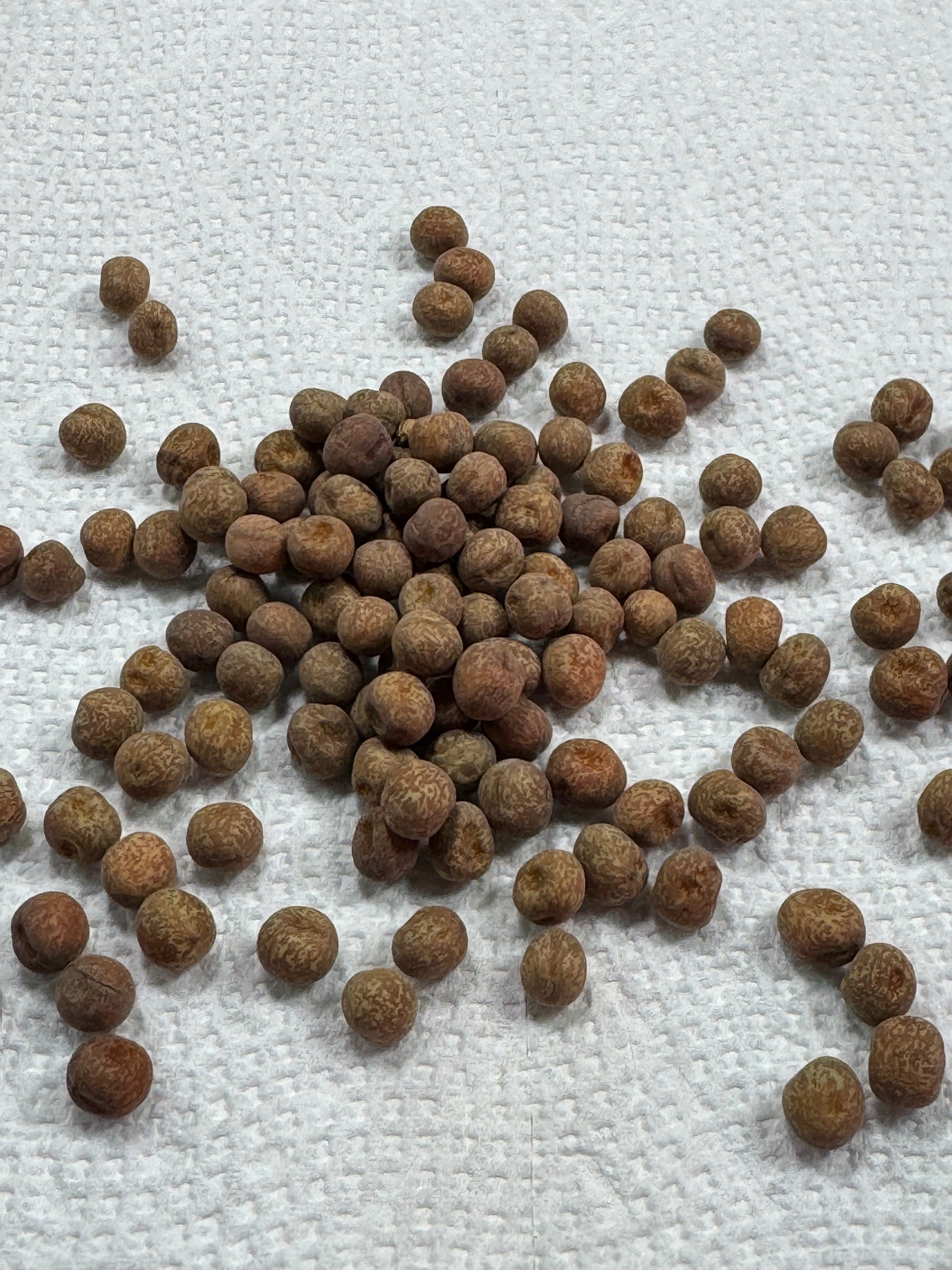 Seed Kit #1
