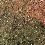 Giardino Fresco Soil