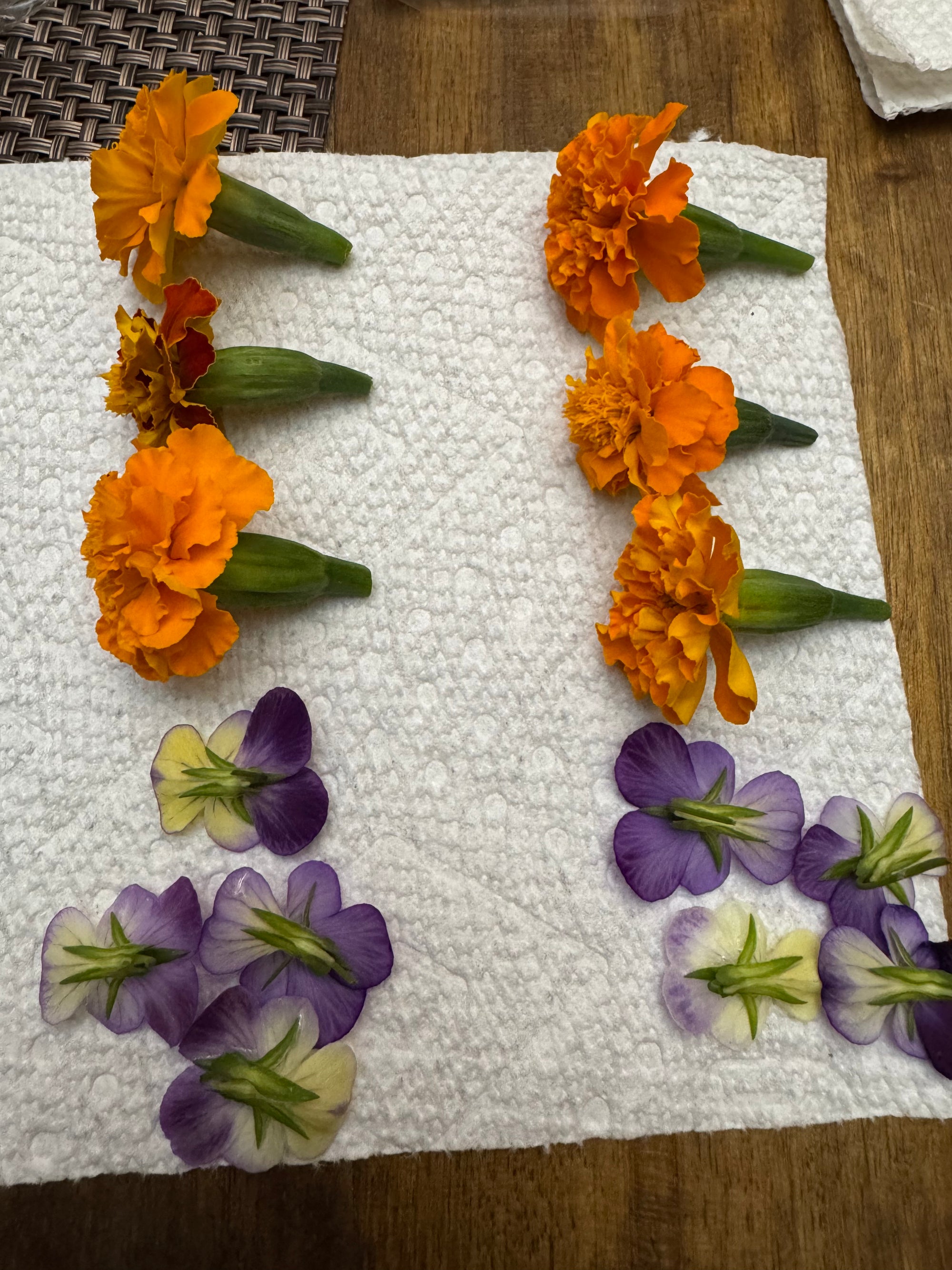 Edible Flowers Variety Pack