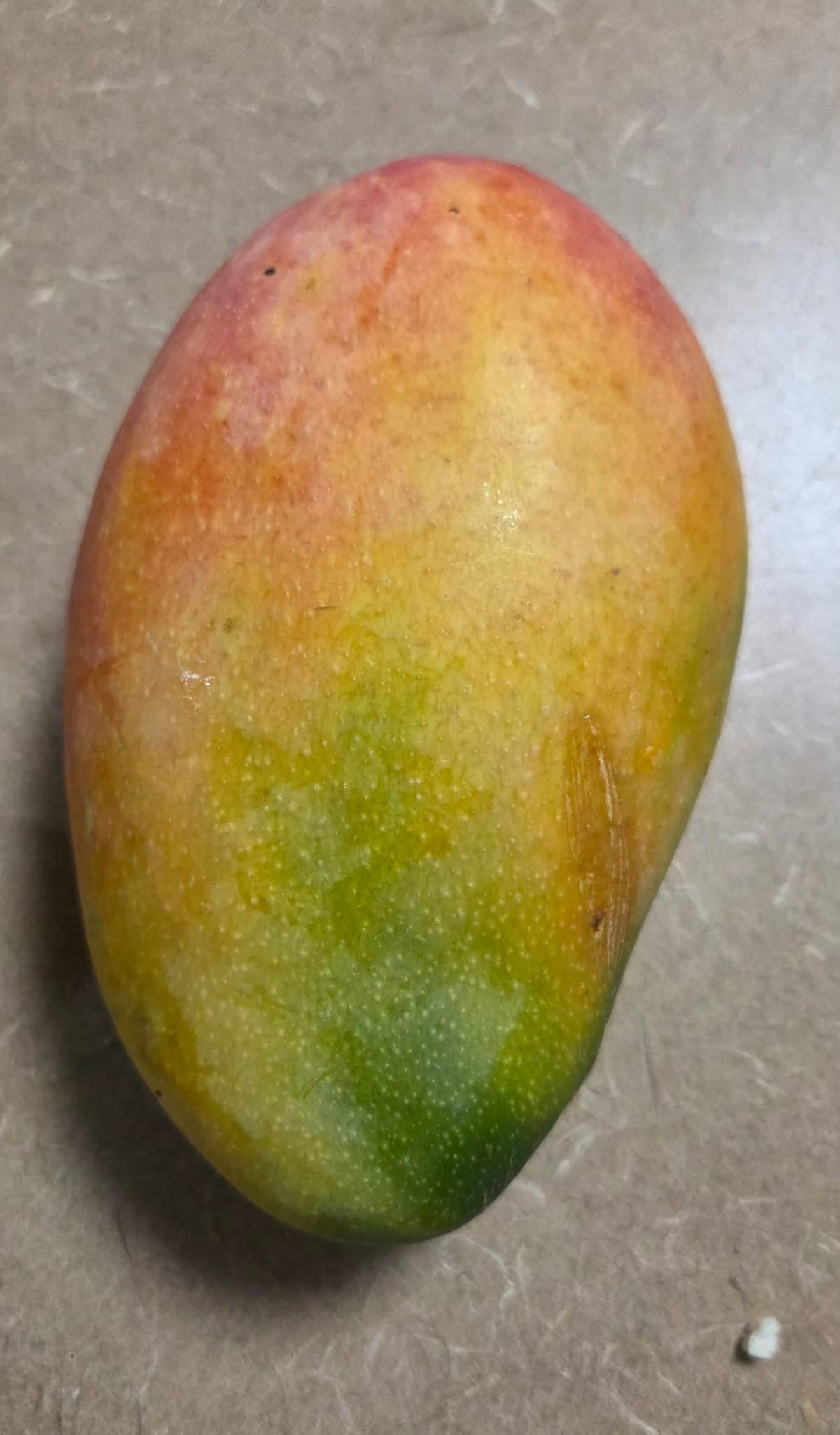 Tropical Mango Fruit (Choose Variety)