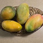 Tropical Mango Fruit (Choose Variety)