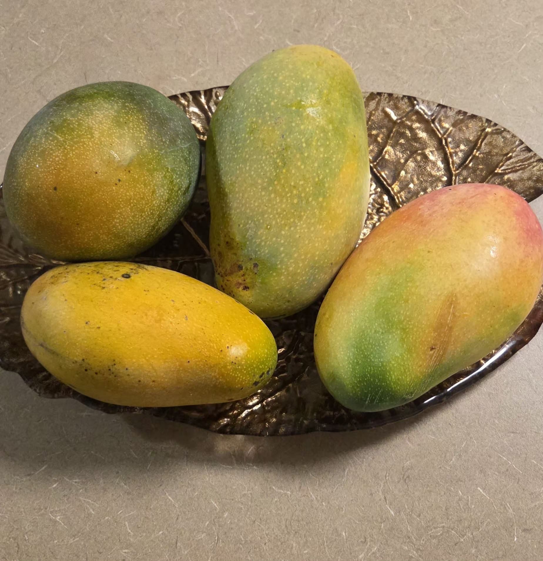 Tropical Mango Fruit (Choose Variety)
