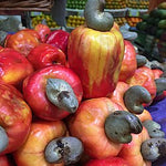 Cashew Seeds For Planting