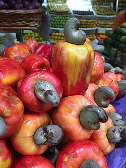 Cashew Seeds For Planting