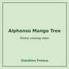 Alphonso Mango Tree 3 gallon – photo coming soon – Giardino Fresco