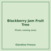 Blackberry Jam Fruit Tree 3 gallon – photo coming soon – Giardino Fresco