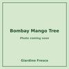 Bombay Mango Tree 3 gallon – photo coming soon – Giardino Fresco