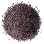 Broccoli Seeds