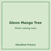 Glenn Mango Tree 3 gallon – photo coming soon – Giardino Fresco