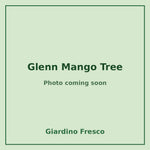 Glenn Mango Tree 3 gallon – photo coming soon – Giardino Fresco