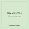Key Lime Tree 3 gallon – photo coming soon – Giardino Fresco