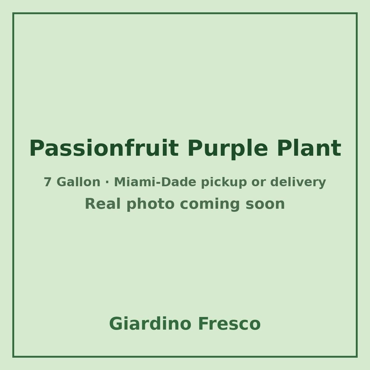 Passionfruit Purple plant 7 gallon – real photo coming soon
