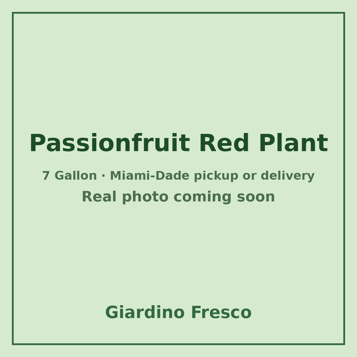 Passionfruit Red plant 7 gallon – real photo coming soon
