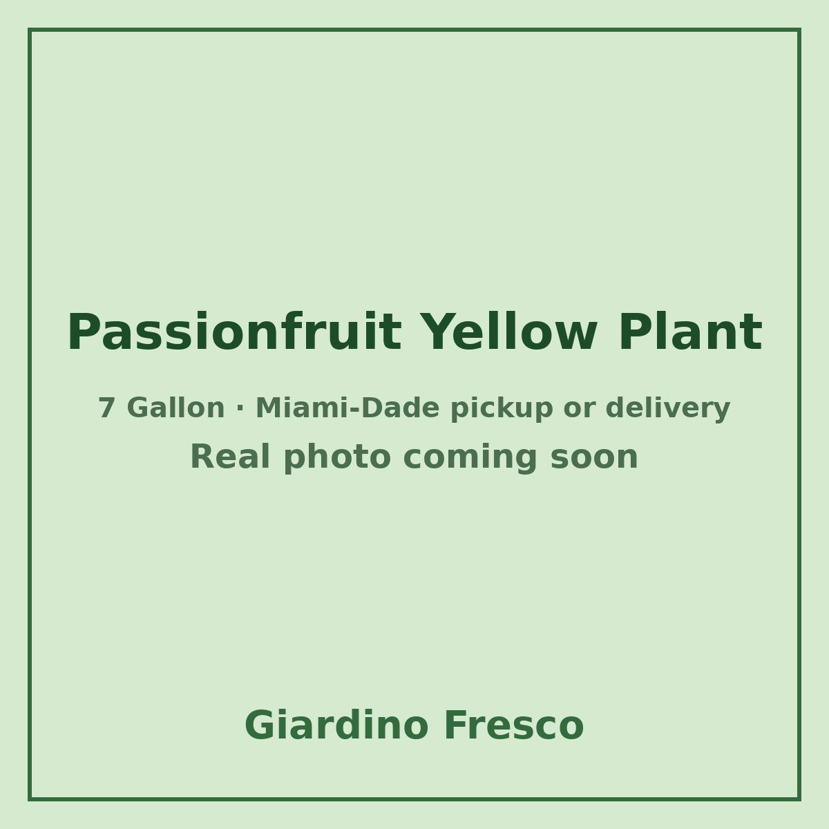 Passionfruit Yellow plant 7 gallon – real photo coming soon