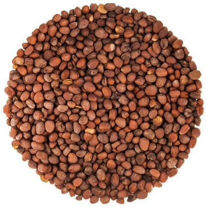 Radish Seeds